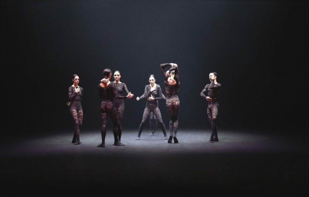 Photographie en couleurs au format paysage. Cette photo représente la troupe des danseurs pendant le spectacle INTO THE HAIRY.